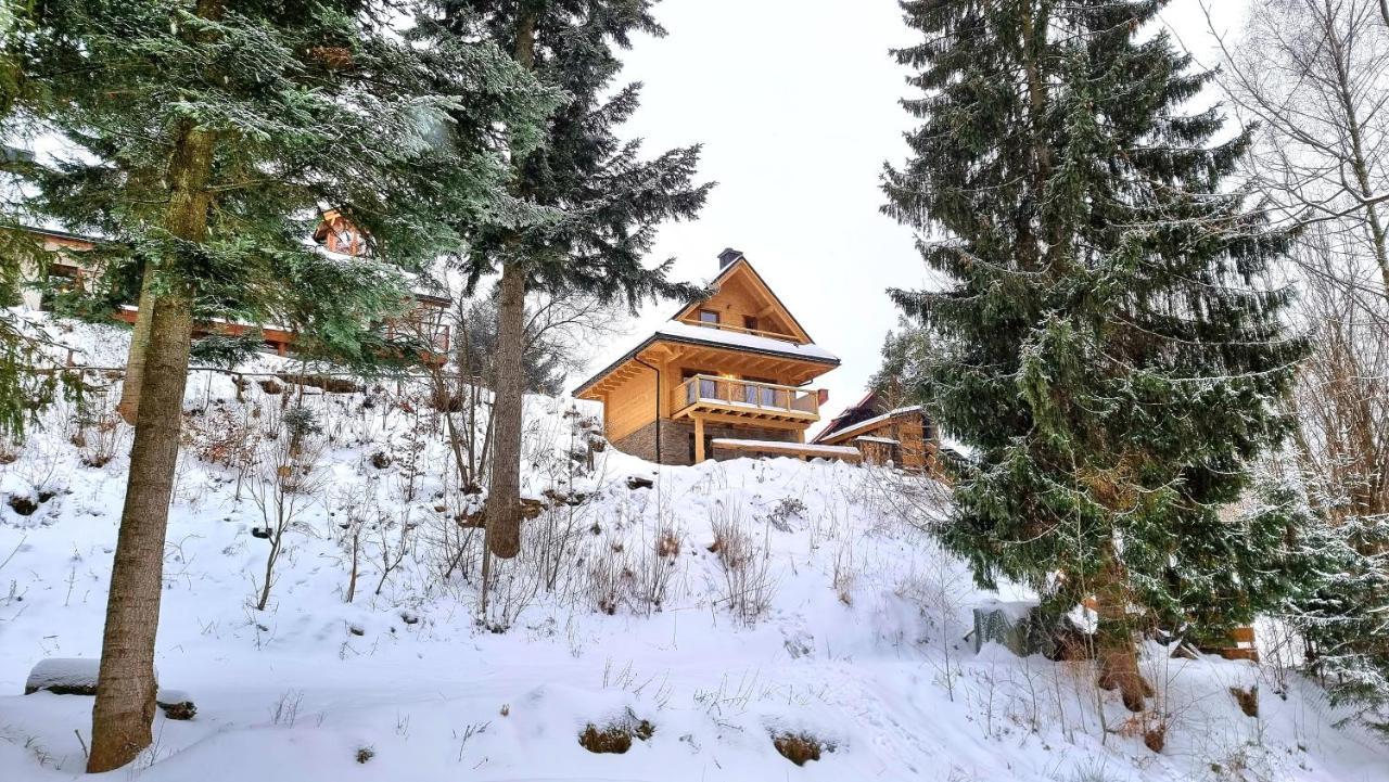 Rezydencja Barrettski Wisla Exterior photo